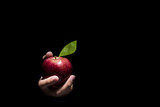Hand offering an apple.