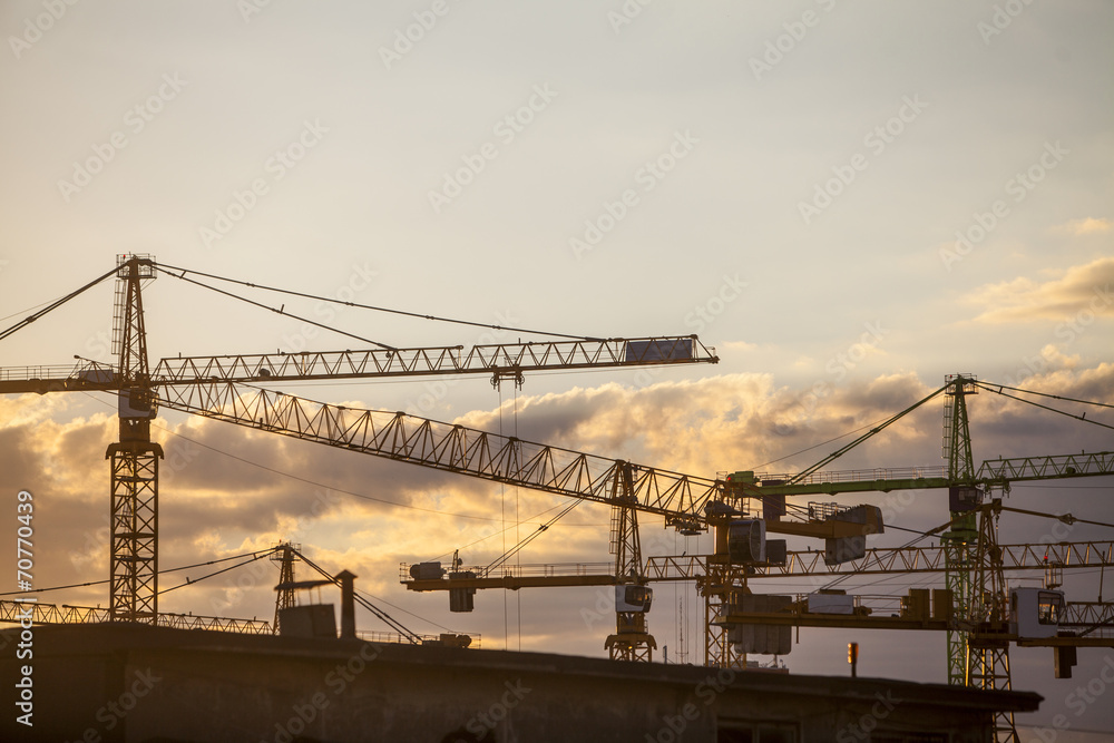 Cranes at dusk