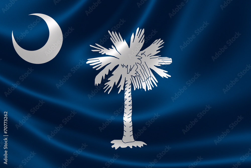 Obraz premium State of South Carolina Flag