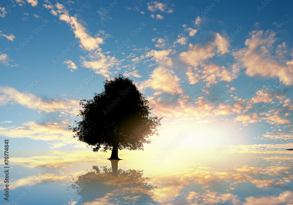 Obraz premium Natural landscape