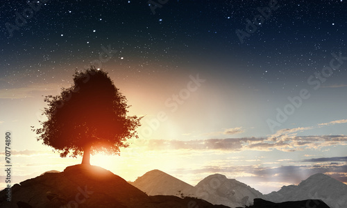 Fototapeta Naturalny krajobraz