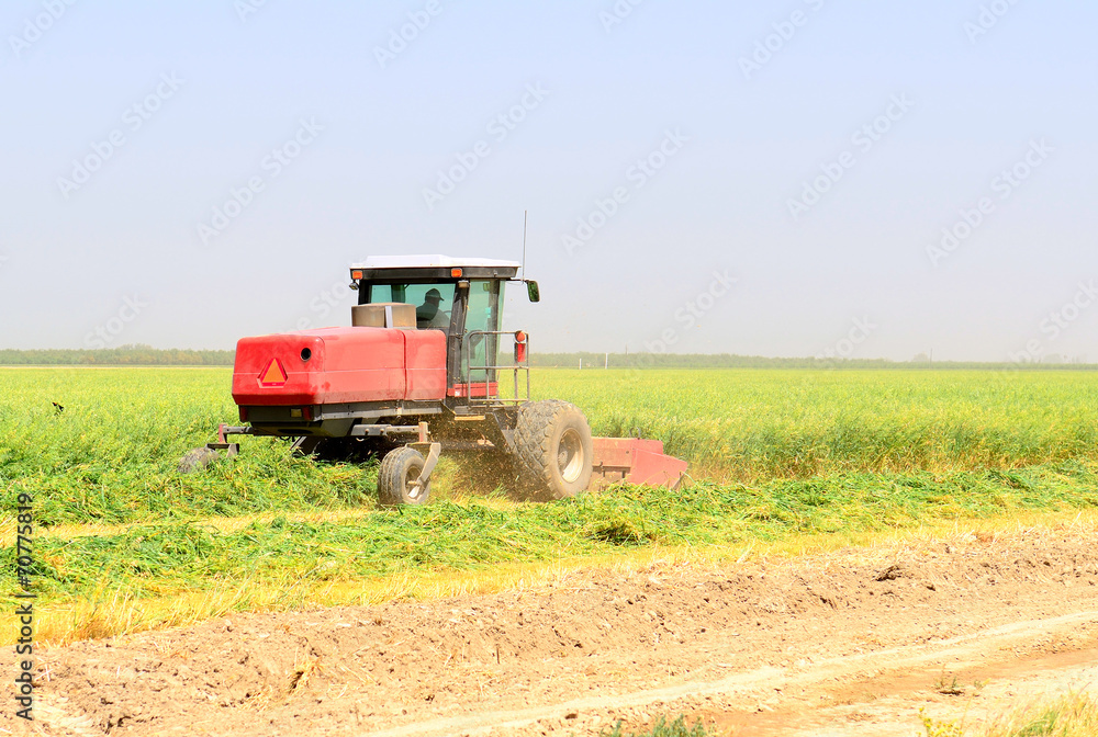 Naklejka premium Cally Ag