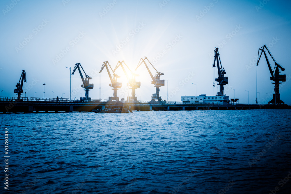 Obraz premium Shipping Cranes