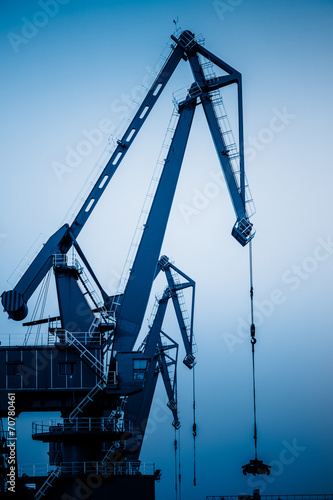 Shipping Cranes