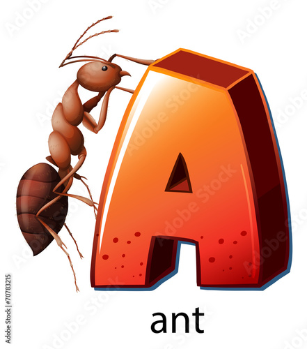 A letter A for ant