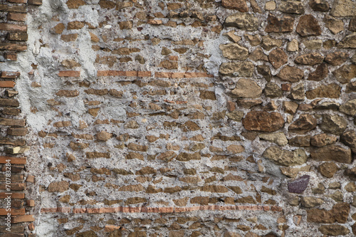 Canvas Print Palatine Hill