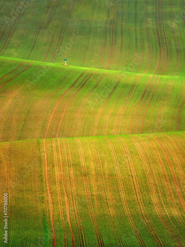 Morawy, Czechy , barwy ziemi wiosną