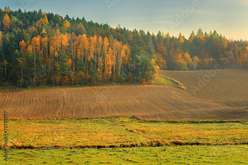 Krajobraz wiejski, Jesień