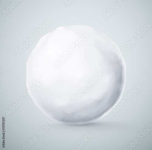 Fotografie, Obraz Isolated Snowball