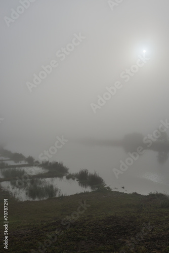 The sun is now coming through the mist © Ruud Morijn