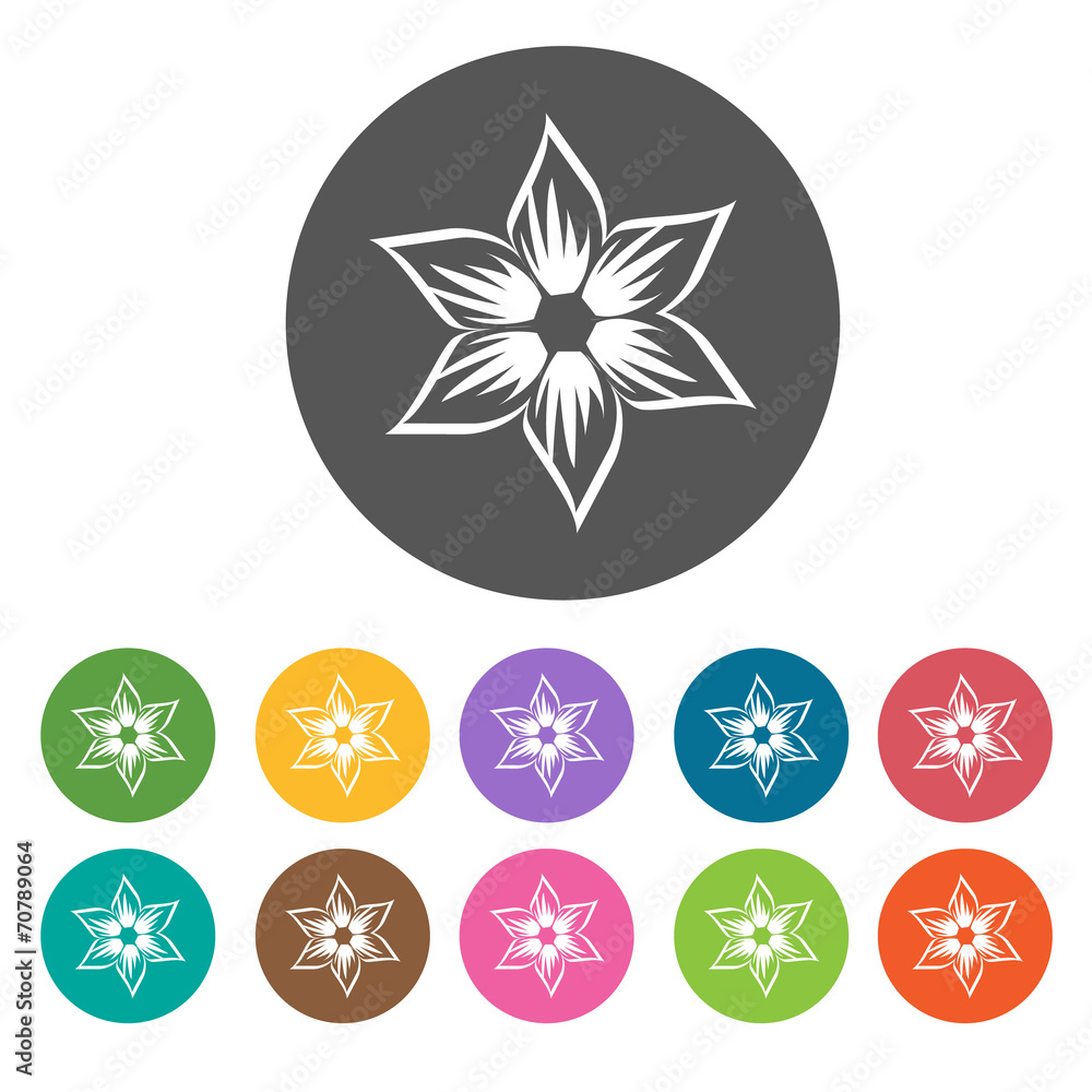 Random blooming flower icon. Flower icon set. Round colourful 1 Random blooming flower icon. Flower icon set. Round colourful 1