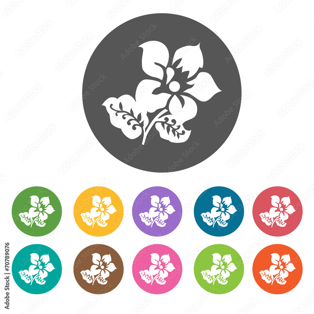 Lilac flower icon. Flower icon set. Round colourful 12 buttons. Lilac flower icon. Flower icon set. Round colourful 12 buttons.