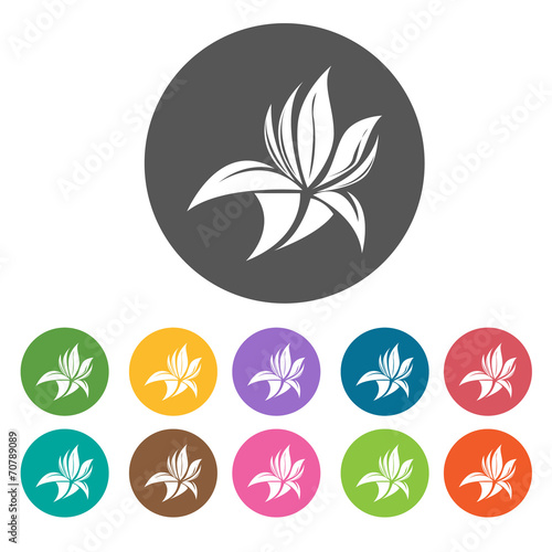 Water flowering plant icon. Flower icon set. Round colourful 12