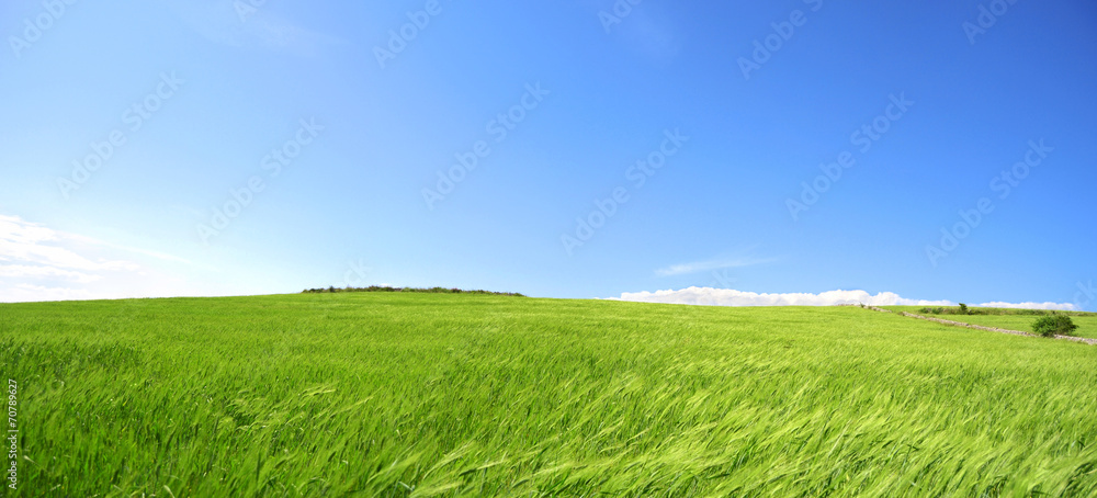 Collina con prato verde e cielo azzurro Terra Pianeta verde Stock Photo Adobe Stock
