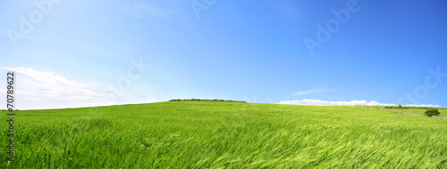 Collina con prato verde e cielo azzurro - Terra - Pianeta verde photo