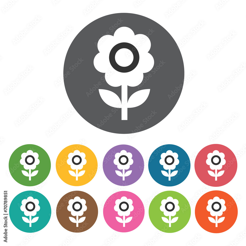 Flower icon. Honey relate icon set. Round colourful 12 buttons. Flower icon. Honey relate icon set. Round colourful 12 buttons.