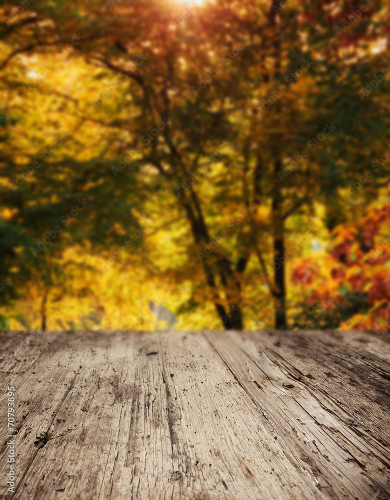 Wooden planks with autumn trees in the background Wooden planks with autumn trees in the background