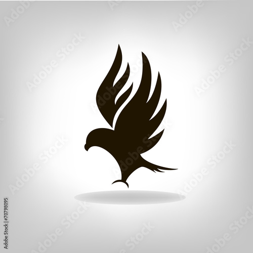 Black eagle with outstretched wings