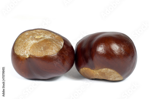 Macro Shot of Two Chestnut Isolated on White Background