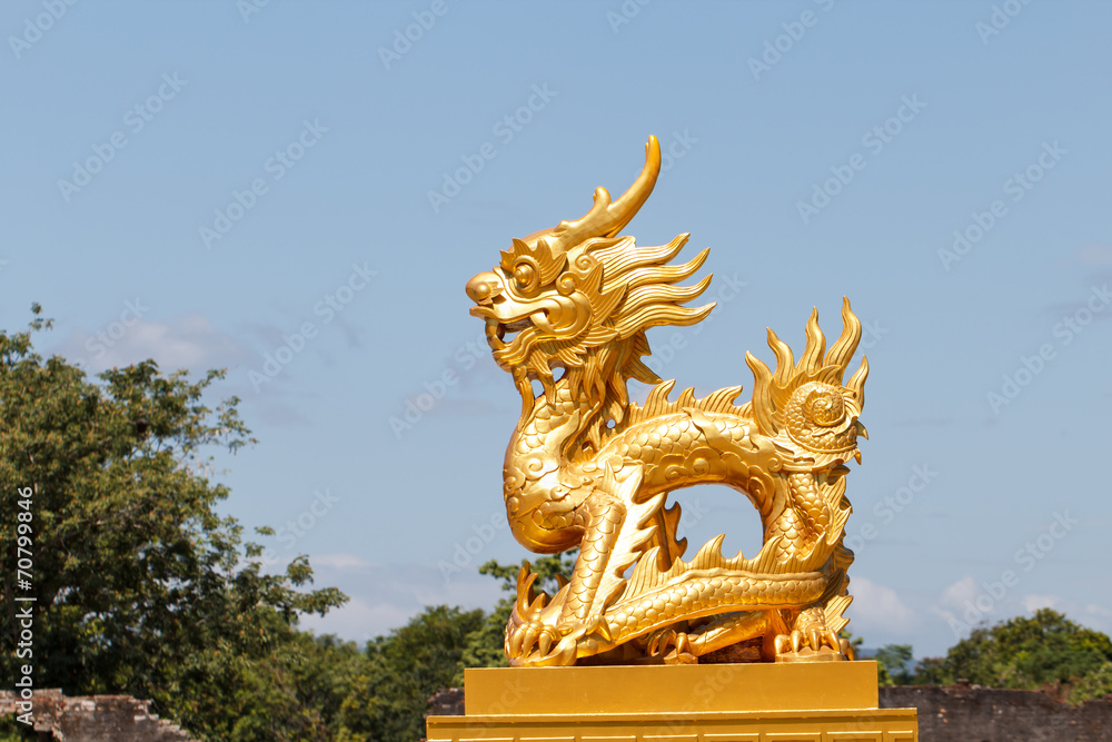 Fototapeta premium Golden dragon