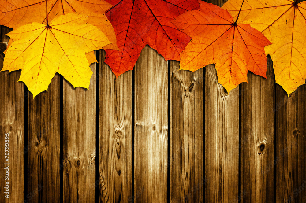 wooden background with autumn maple leaves wooden background with autumn maple leaves