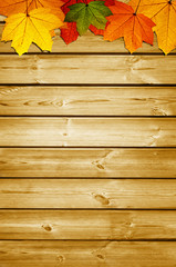 wooden background with autumn maple leaves
