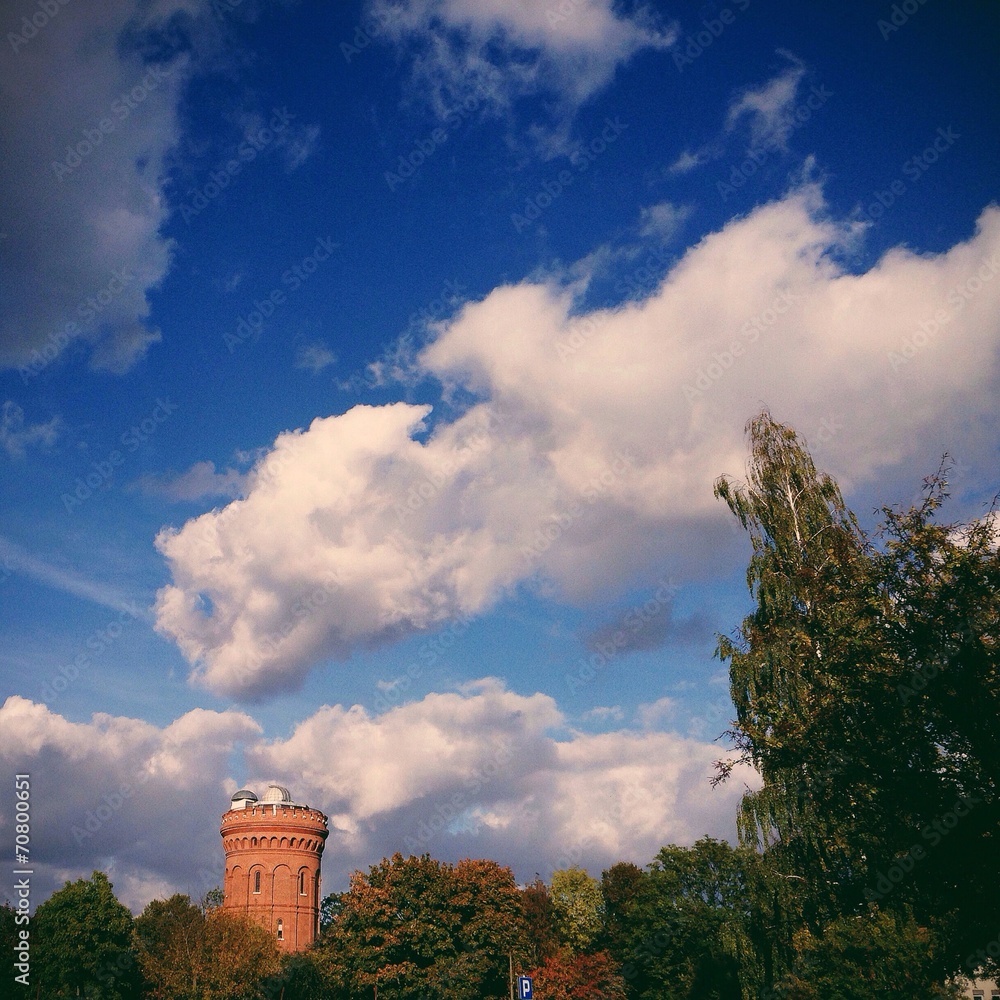 Fototapeta premium Obserwatorium astronomiczne wśród drzew