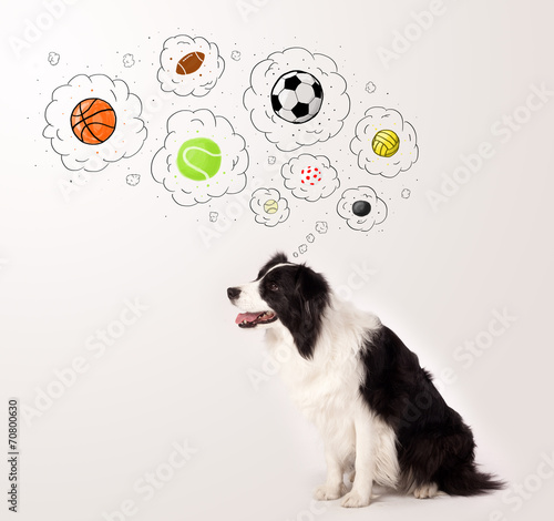 Cute dog with balls in thought bubbles
