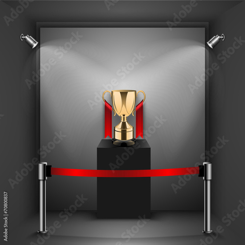 Gold trophy kept on shelf