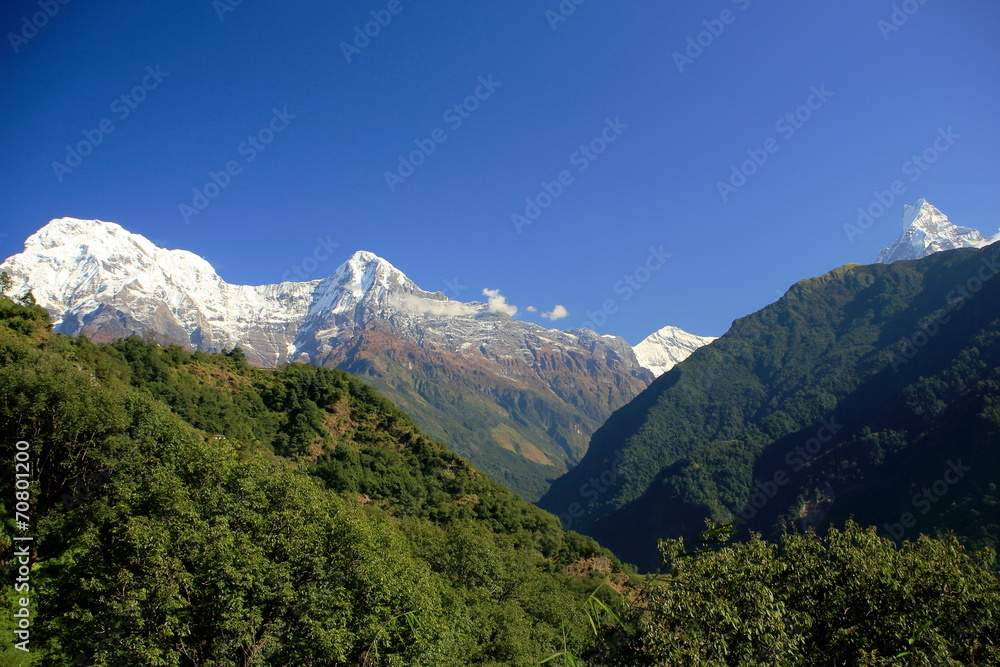 Mts.Annapurna S.-Hiun Chuli-Gangapurna-Machapuchare. Nepal 0645