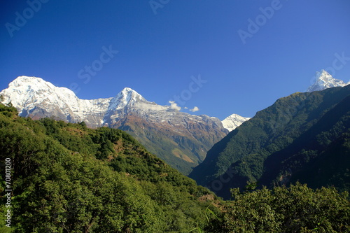 Mts.Annapurna S.-Hiun Chuli-Gangapurna-Machapuchare. Nepal 0645