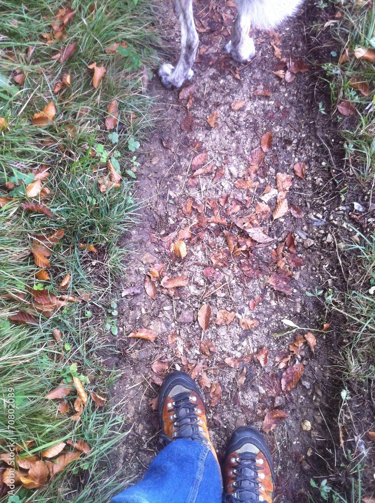 Obraz premium Wandern mit Hund