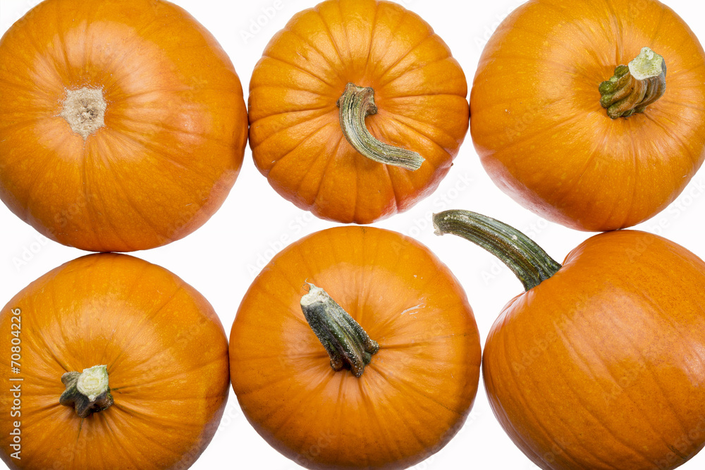 six pumpkins on white