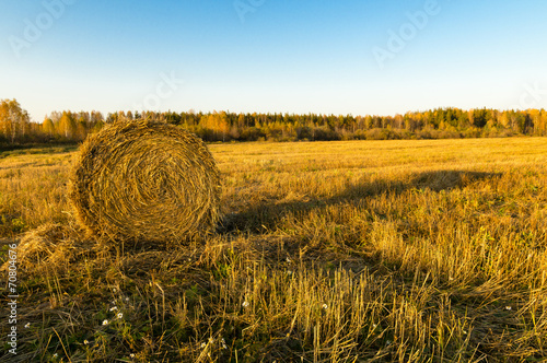 копна сена в поле photo