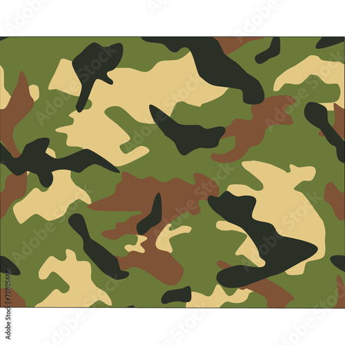Camo texture in map - Wyoming