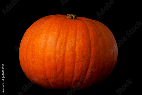 Pumpkin on a black background