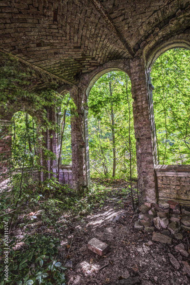 Overgrown ruins of the old palace