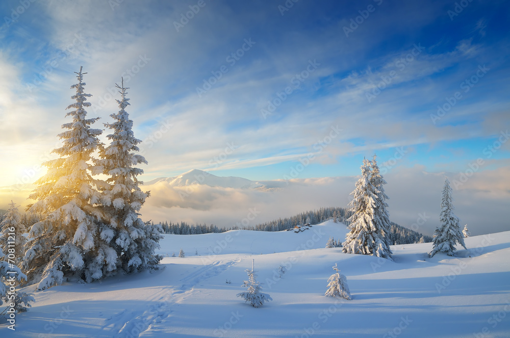 Obraz premium Christmas landscape
