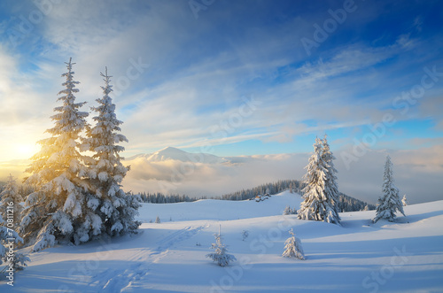 Christmas landscape © Oleksandr Kotenko