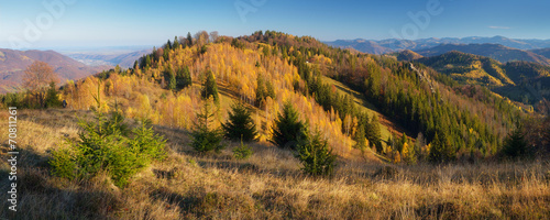 Autumn panorama mountain forest