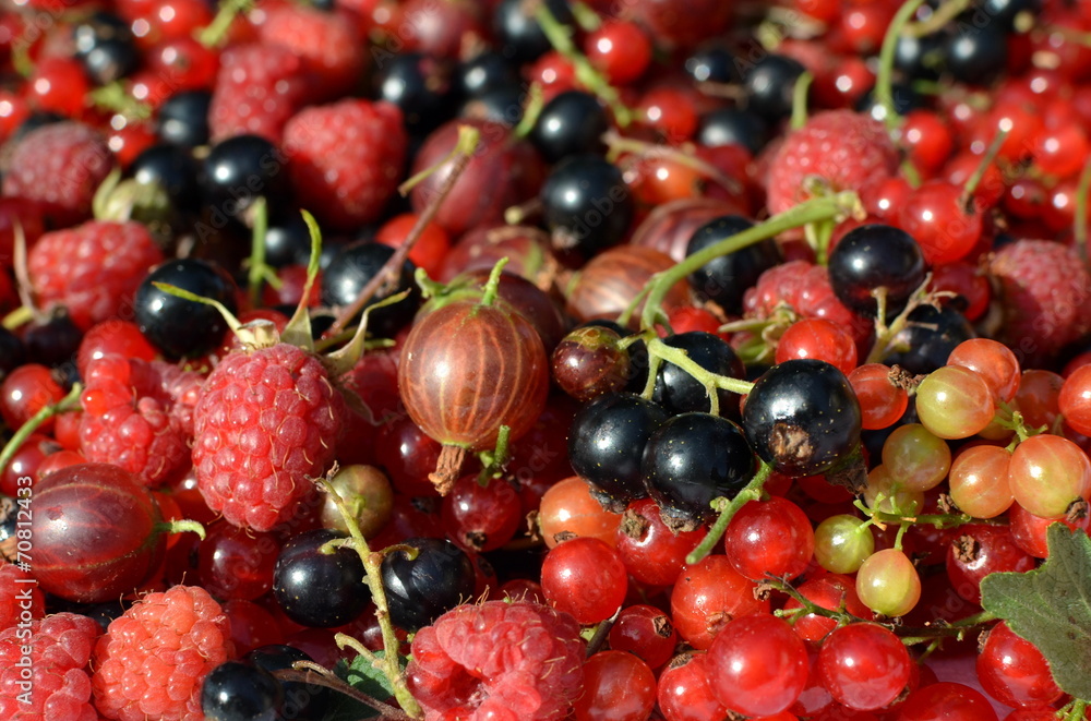Frische Beeren Frische Beeren