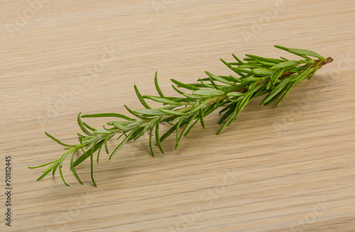 Rosemary plant