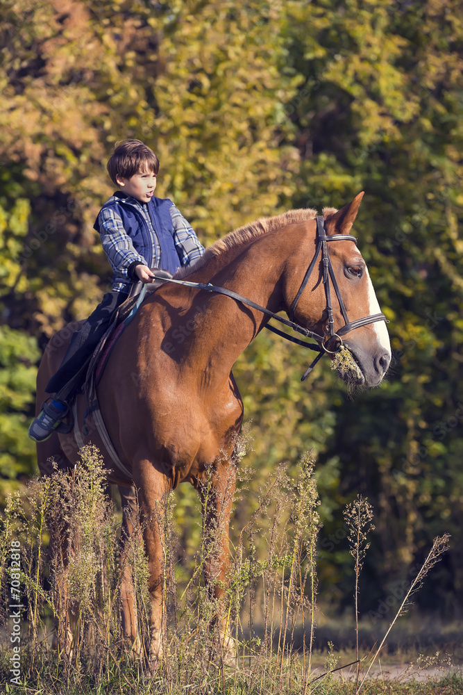 Obraz premium horse ride young guy autumn forest