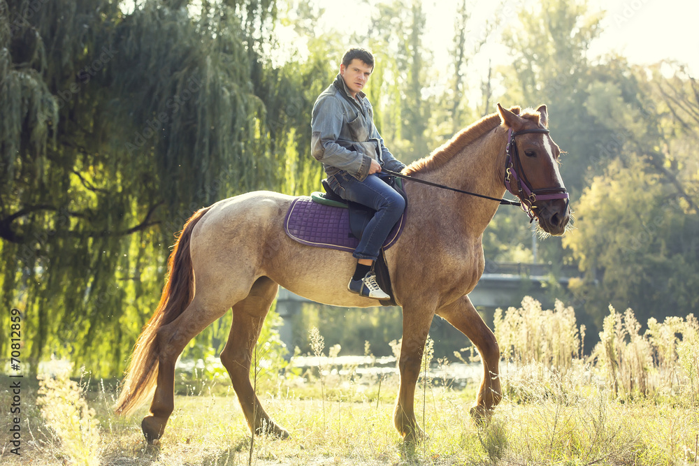 horse ride young guy autumn forest horse ride young guy autumn forest