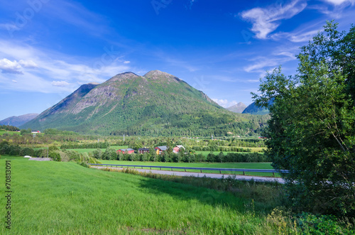 Summer road to Norwegian village
