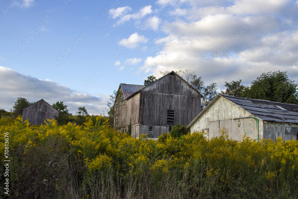 Country Barn Country Barn