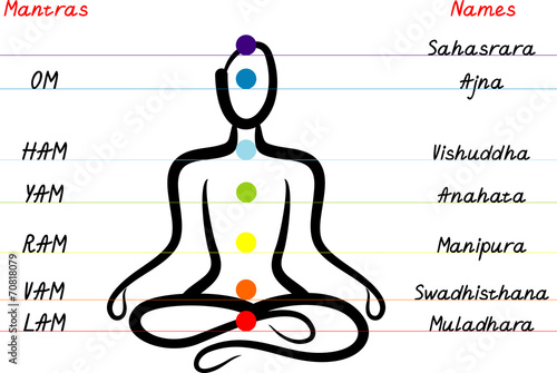 Chakra system