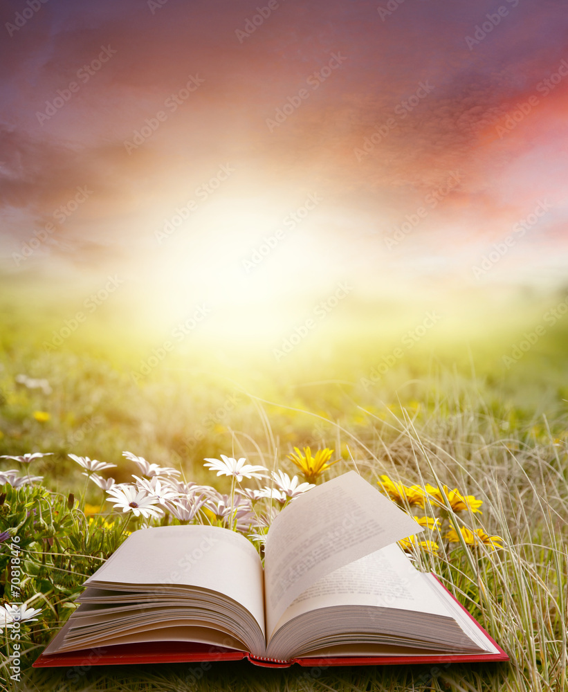 Naklejka premium Open book in field and sunny sky