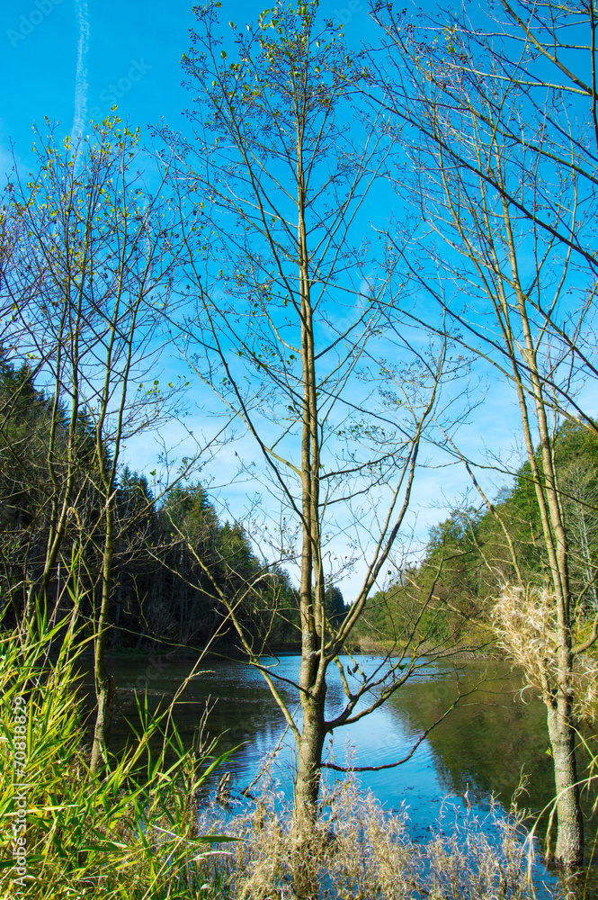 Nature Nature