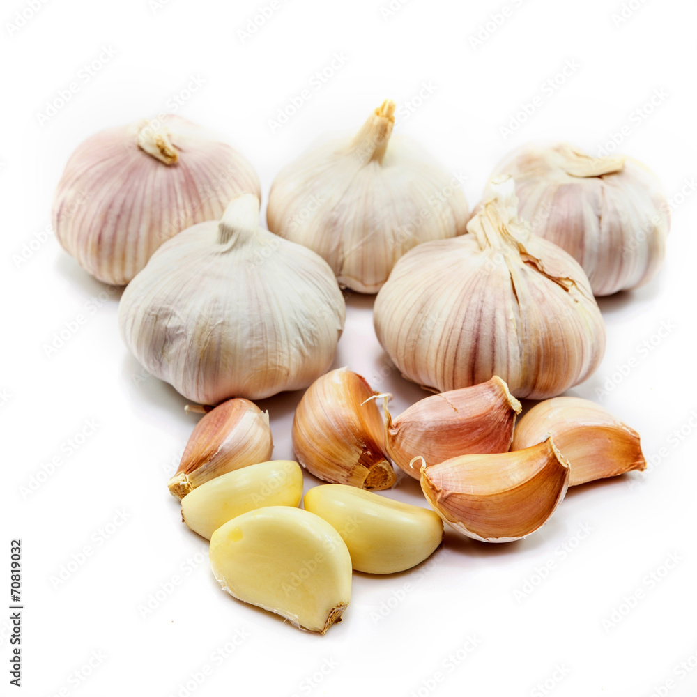 garlic on white background garlic on white background